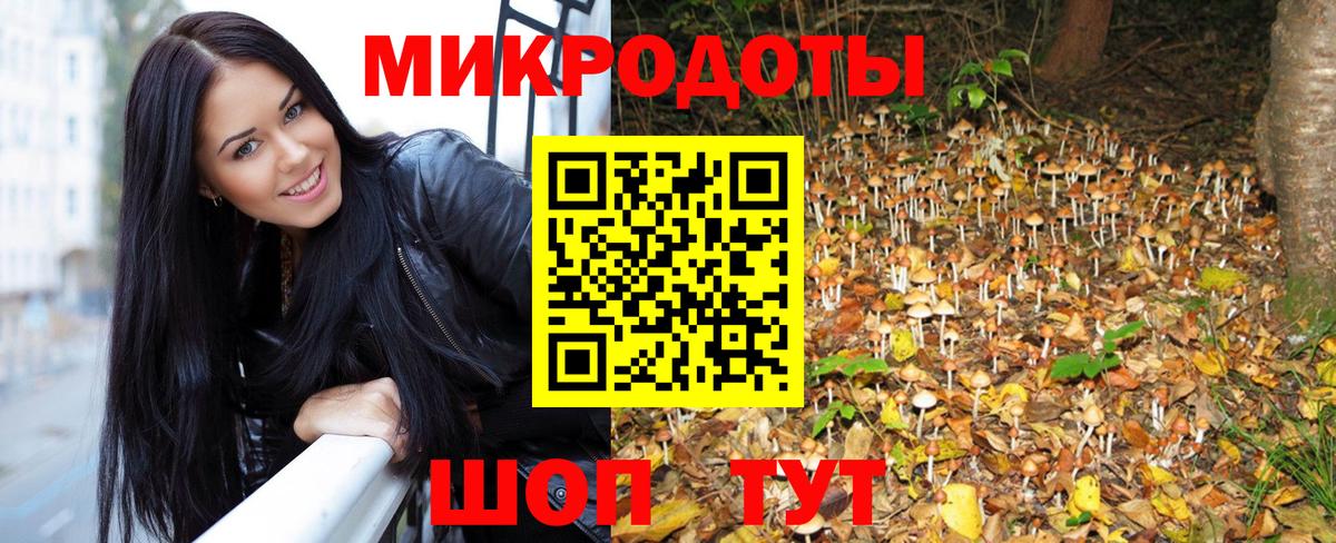 Псилоцибиновые грибы мухоморы Ейск
