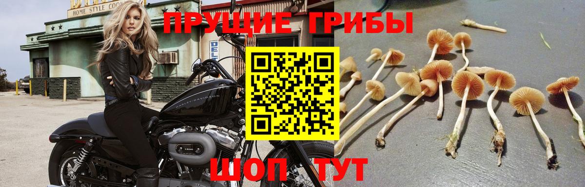 НБОМе Ейск